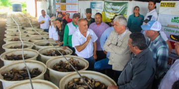 Ministro Castro Soteldo: Trujillo produce un biofertilizante que «puede revolucionar el mundo»