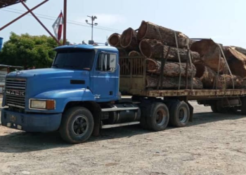 Retienen camión por presunta deforestación ilegal de madera en municipio Andrés Bello