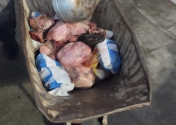 Entierran pollos y carnes descompuestos en el patio de la Escuela Enrique Flores de El Dividive