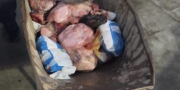 Entierran pollos y carnes descompuestos en el patio de la Escuela Enrique Flores de El Dividive