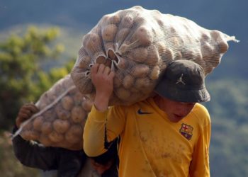 Táchira/ Productores agrícolas de Rafael Urdaneta: “No somos contrabandistas”