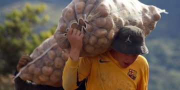 Táchira/ Productores agrícolas de Rafael Urdaneta: “No somos contrabandistas”