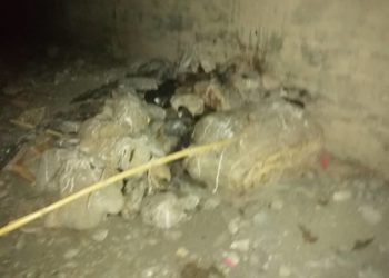 Encuentran cuerpo en estado de descomposición en Boconó