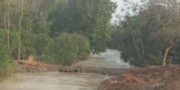 Onia continua sin paso