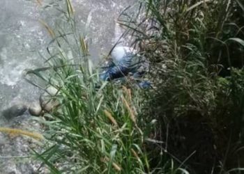 Mérida: Un hombre de 54 años de edad se suicidó lanzándose desde el viaducto Miranda