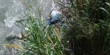 Mérida: Un hombre de 54 años de edad se suicidó lanzándose desde el viaducto Miranda