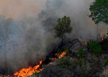 Incendios forestales se incrementan en Boconó