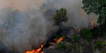 Incendios forestales se incrementan en Boconó