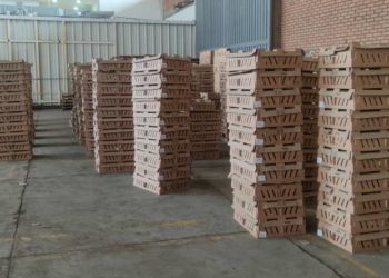 Una parte de 25 mil pollos que murieron en Cúcuta serían distribuidos en el Táchira