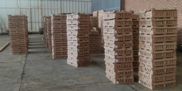 Una parte de 25 mil pollos que murieron en Cúcuta serían distribuidos en el Táchira