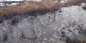 Concejo de la Ceiba ratifica negligencia de ejecutivos de Pdvsa al permitir derrames petroleros