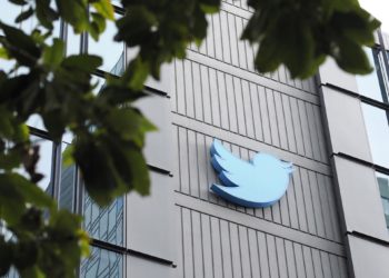 Un perrito en Twitter y otros clics tecnológicos en América