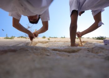 Retiran miles de plegarias del Muro de los Lamentos, en limpieza pre Pésaj