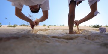 Retiran miles de plegarias del Muro de los Lamentos, en limpieza pre Pésaj