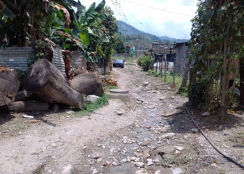 Comunidad de San Pedro para el gobierno regional y municipal no existe