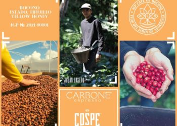 Carbone Espresso lanza primer café venezolano con Indicación Geográfica Protegida (IGP)