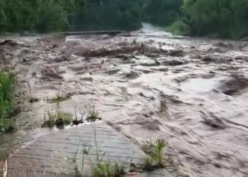Táchira | Dos viviendas colapsaron parcialmente y 45 más resultaron anegadas tras las precipitaciones en el municipio Ayacucho 