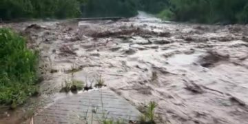 Táchira | Dos viviendas colapsaron parcialmente y 45 más resultaron anegadas tras las precipitaciones en el municipio Ayacucho 