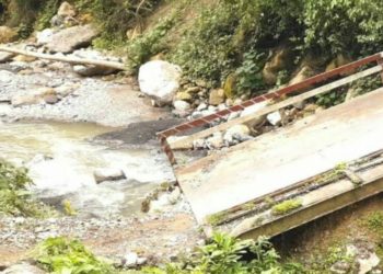 Concejal Néstor Rives: productores de agrícolas en Escuque pierden sus cosechas