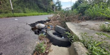 Entre monte y culebras viven atemorizados los habitantes de Santa Cruz
