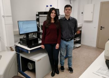 Revelan el papel clave de una proteína en el cáncer de endometrio