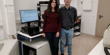 Revelan el papel clave de una proteína en el cáncer de endometrio