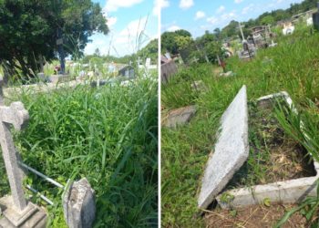 Cementerio municipal de Sabana Grande «se lo come el monte»