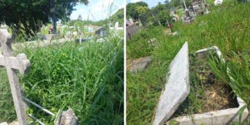 Cementerio municipal de Sabana Grande «se lo come el monte»