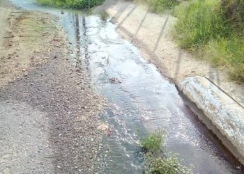 Aguas estancadas y putrefactas en la vía que conduce al hospital de Sabana de Mendoza