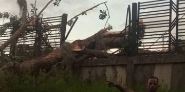 Tras 48 horas regresa la electricidad y el sistema Cantv a Boconó