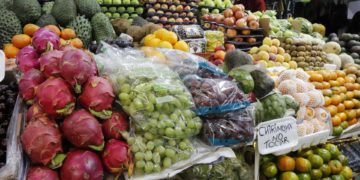 Las dietas vegetariana y vegana se asocian a niveles más bajos de colesterol