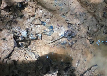 Una huella da esperanzas de encontrar a niños perdidos tras accidente de avión en Colombia