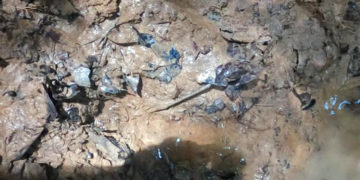 Una huella da esperanzas de encontrar a niños perdidos tras accidente de avión en Colombia