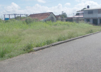 Terreno municipal enmontado a escasos metros de la Alcaldía y de la plaza Bolívar de Betijoque