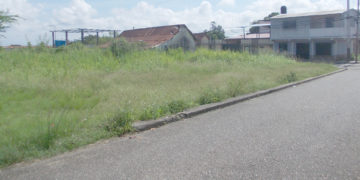 Terreno municipal enmontado a escasos metros de la Alcaldía y de la plaza Bolívar de Betijoque