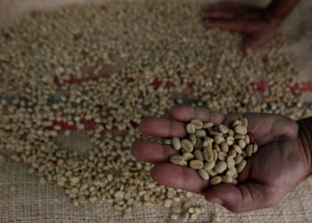 Café colombiano alcanza un precio de 110,18 euros por libra en subasta internacional