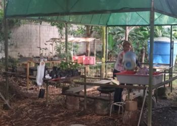 Cayapa ecológica en el  Simoncito Libertador