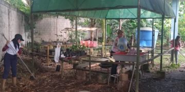 Cayapa ecológica en el  Simoncito Libertador