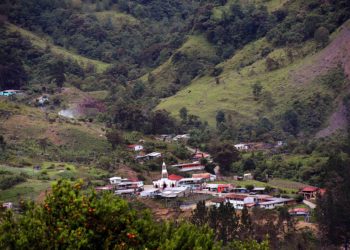 Escuela Técnica Agroindustrial en Táchira será pionera en formación de técnicos semilleros de café