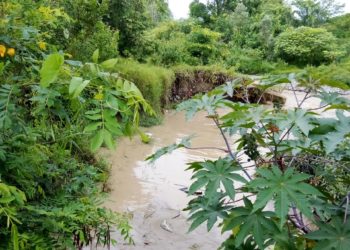 Táchira | Una vez más solicitan la canalización de la quebrada La Zorquera en Santa Elena