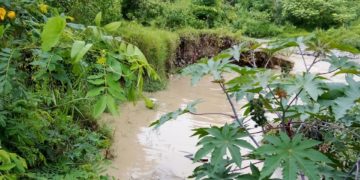 Táchira | Una vez más solicitan la canalización de la quebrada La Zorquera en Santa Elena