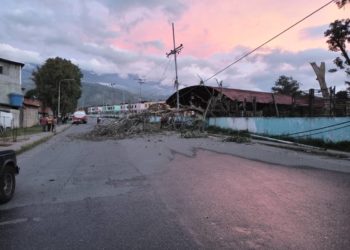 Parte alta de Boconó sin luz por caída de árbol