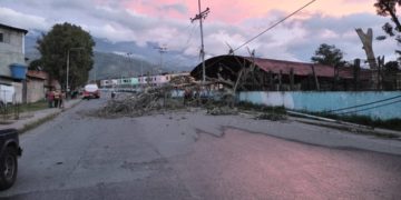 Parte alta de Boconó sin luz por caída de árbol