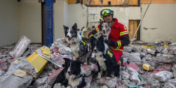 Entrenamiento de perros de rescate cobra popularidad en México debido a terremotos