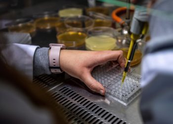Las científicas reciben menos becas y subvenciones para sus investigaciones