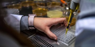 Las científicas reciben menos becas y subvenciones para sus investigaciones