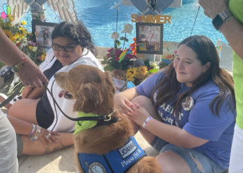 Los perros de terapia tienen una especialidad en EE.UU.: los tiroteos masivos