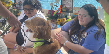 Los perros de terapia tienen una especialidad en EE.UU.: los tiroteos masivos