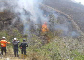 Cuerpos de seguridad registran hasta 15 incendios de vegetación diarios en Trujillo