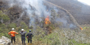 Cuerpos de seguridad registran hasta 15 incendios de vegetación diarios en Trujillo